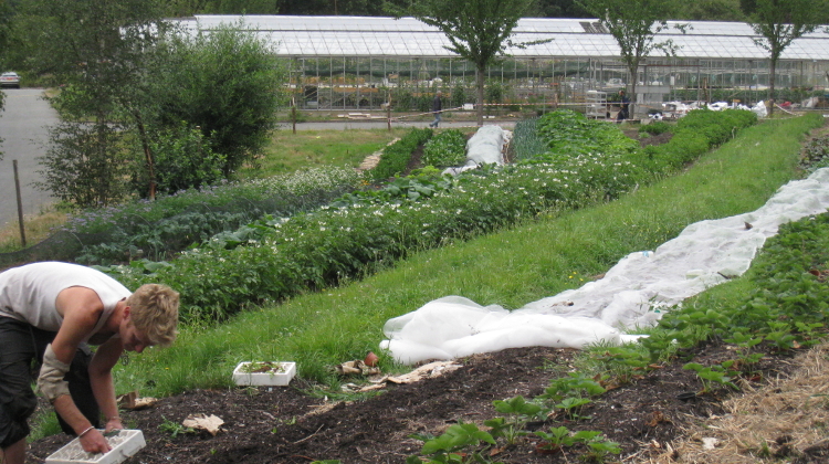 Organiclea Win Urban Food Award